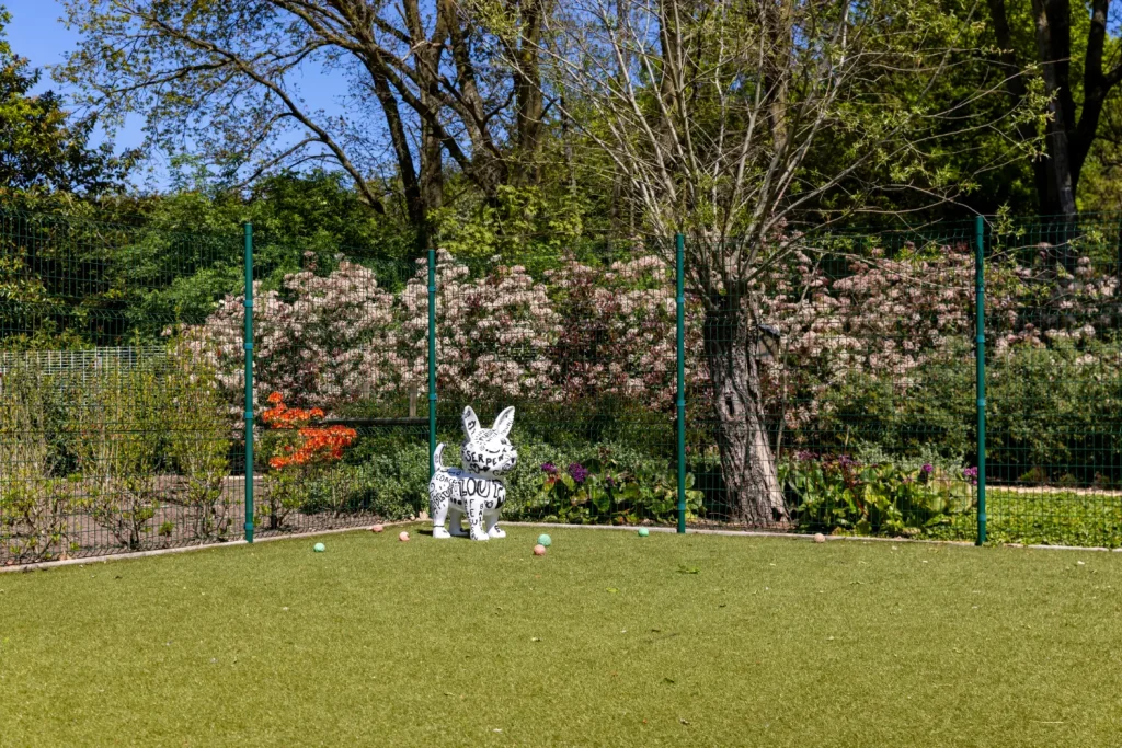 Speelweide met kunstgras voor honden bij ’t Hoogstehof
