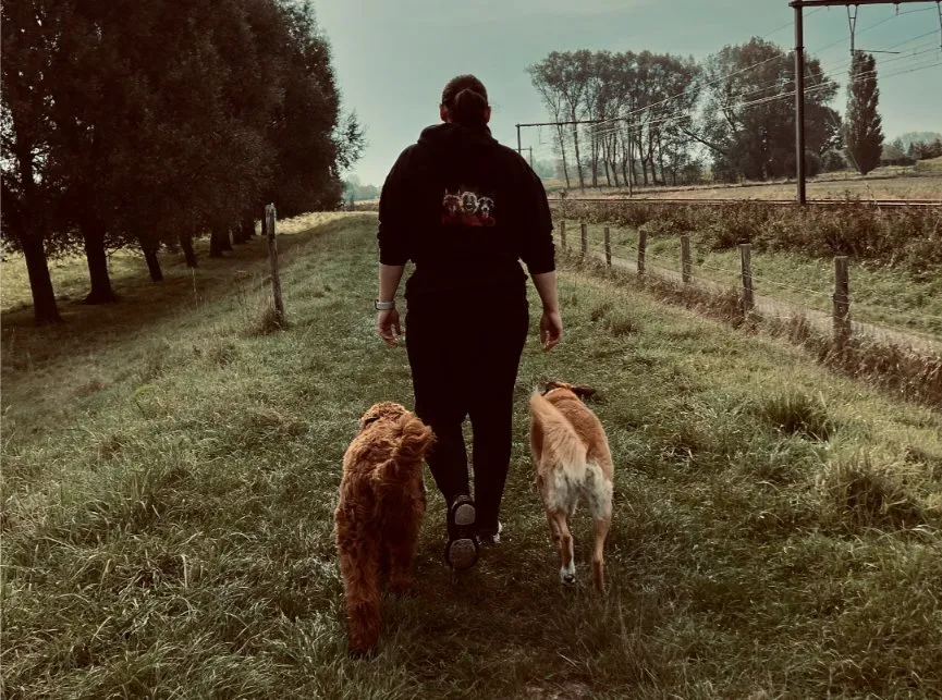 Gedragsbegeleiding voor honden in hondenhotel Bornem